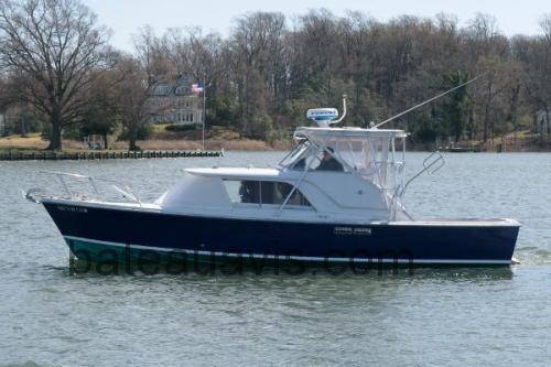 Bertram 31 Express avis et fiche technique 